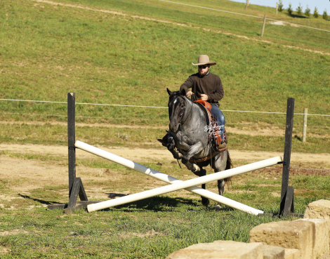 HorseID: 2307642 Tokyo - PhotoID: 1091596