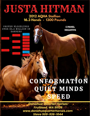 HorseID: 2307646 Justa Hitman - PhotoID: 1091601