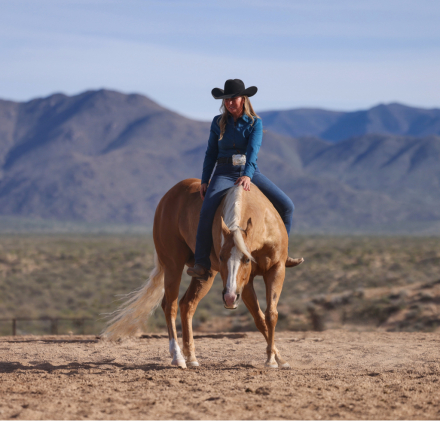 HorseID: 2307651 PS IM SHINEY - PhotoID: 1091610