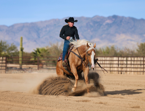 HorseID: 2307651 PS IM SHINEY - PhotoID: 1091612