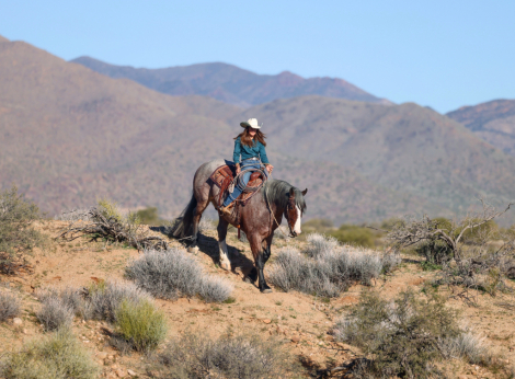 HorseID: 2307652 LOOKIN FOR MAGIC - PhotoID: 1091614