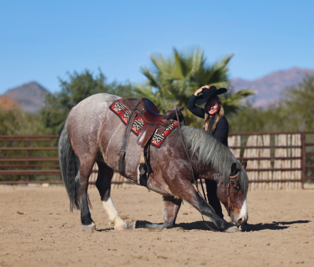 HorseID: 2307652 LOOKIN FOR MAGIC - PhotoID: 1091615