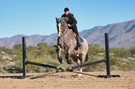 HorseID: 2307652 LOOKIN FOR MAGIC - PhotoID: 1091616