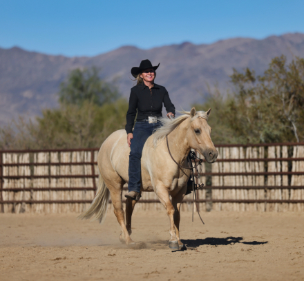 HorseID: 2307654 KING LOVIN HOLLY - PhotoID: 1091618