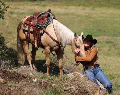 HorseID: 2307654 KING LOVIN HOLLY - PhotoID: 1091619