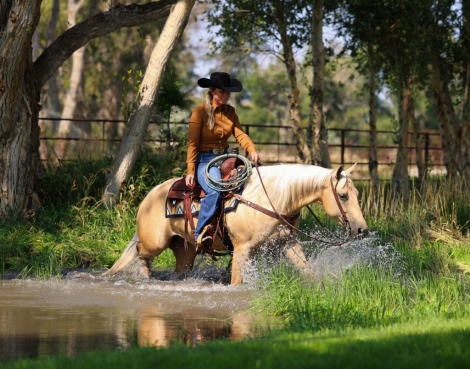 HorseID: 2307654 KING LOVIN HOLLY - PhotoID: 1091620