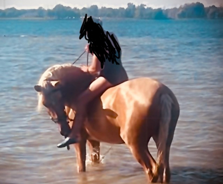 HorseID: 2307655 Raeden de Mythos - PhotoID: 1091660