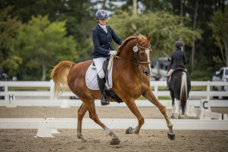 HorseID: 2307660 Forbes - PhotoID: 1091650