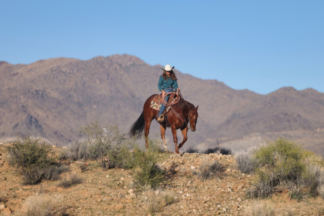 HorseID: 2307661 JUSTASHARPSHOOTER - PhotoID: 1091629