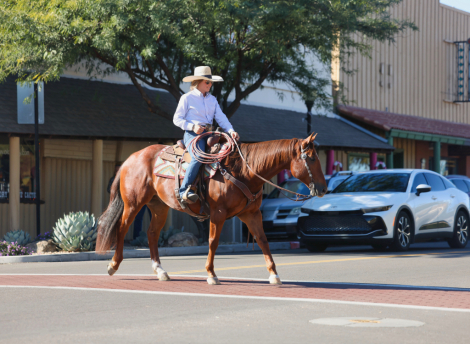 HorseID: 2307661 JUSTASHARPSHOOTER - PhotoID: 1091630