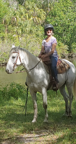 HorseID: 2307666 Billy - PhotoID: 1091635