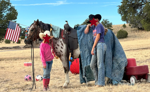 HorseID: 2307686 Spot The Dot Dot Com - PhotoID: 1091656