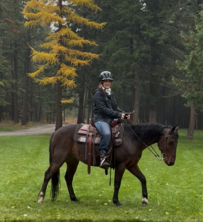 HorseID: 2307699 Boone - PhotoID: 1091667