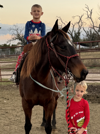 HorseID: 2307703 FATEOFTHEUNION - PhotoID: 1091672