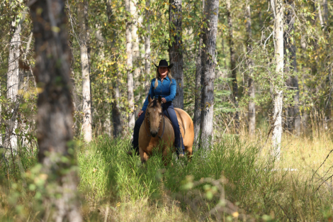 HorseID: 2307705 NietaBoomNShine - PhotoID: 1091680