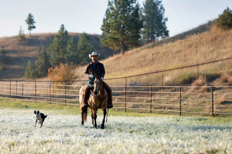 HorseID: 2307705 NietaBoomNShine - PhotoID: 1091681