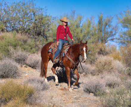 HorseID: 2307707 RBR SMART N FLO - PhotoID: 1091683