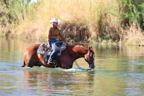 HorseID: 2307707 RBR SMART N FLO - PhotoID: 1091685