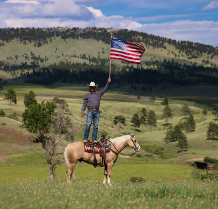 HorseID: 2307708 AS SMOOTH AS ICE - PhotoID: 1091693