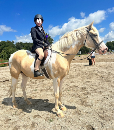 HorseID: 2307724 Scotch on the Rocks - PhotoID: 1091727