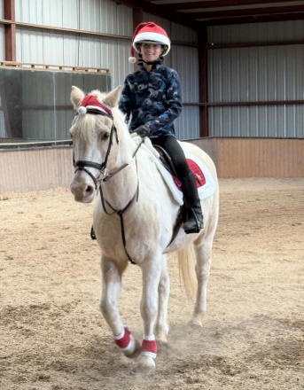 HorseID: 2307724 Scotch on the Rocks - PhotoID: 1091728