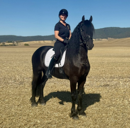 HorseID: 2307734 Kai út 't Westen - PhotoID: 1091742