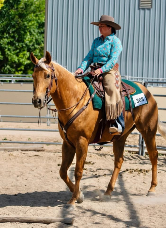 HorseID: 2307747 Cloudy Invite - PhotoID: 1091853