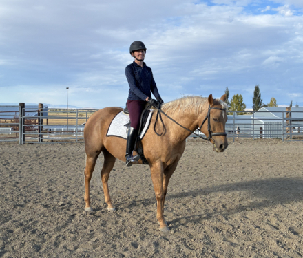 HorseID: 2307747 Cloudy Invite - PhotoID: 1091856