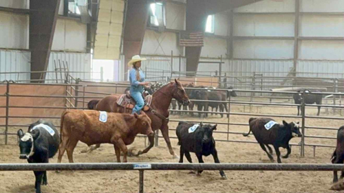 HorseID: 2307748 Sayo Did it Again - PhotoID: 1091857