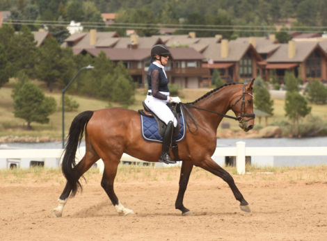 HorseID: 2307756 Bonaparte - PhotoID: 1091807