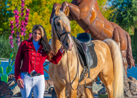 HorseID: 2307764 Astuto Vinyet - PhotoID: 1091765