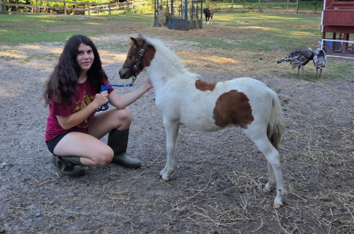 HorseID: 2307769 SunnySide UniquelyPistol Patches - PhotoID: 1091770