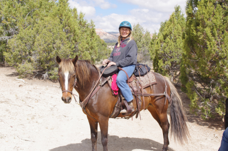 HorseID: 2307772 Bumper - PhotoID: 1091776