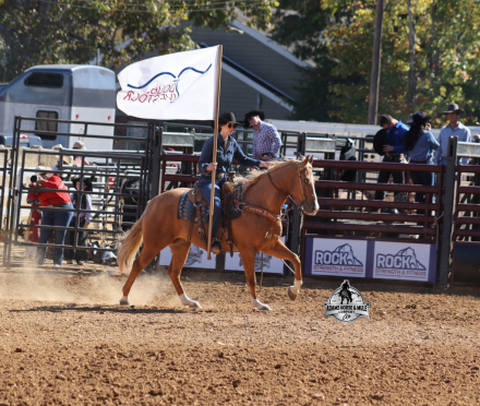 HorseID: 2307782 Gunners Wimpy Chex -www.AdamsHorseAndMuleCo.com - PhotoID: 1091788