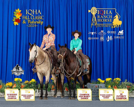 HorseID: 2307783 Smooth As Pendleton -www.AdamsHorseAndMuleCo.com - PhotoID: 1091792