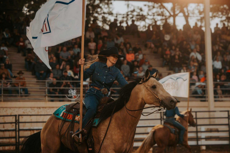 HorseID: 2307783 Smooth As Pendleton -www.AdamsHorseAndMuleCo.com - PhotoID: 1091793