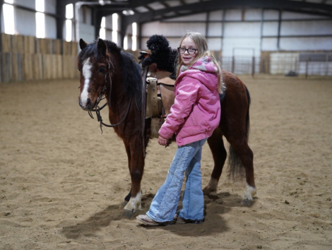 HorseID: 2307787 Carefrees Rare N hot - PhotoID: 1091800