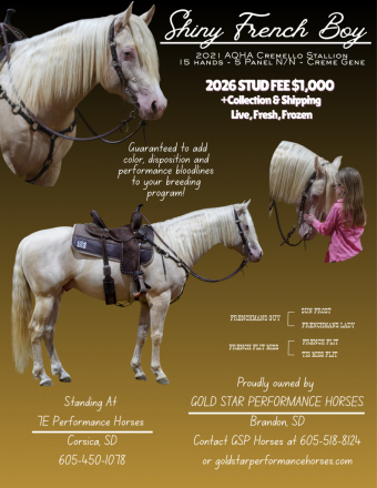 HorseID: 2307788 Shiny French Boy - PhotoID: 1091801