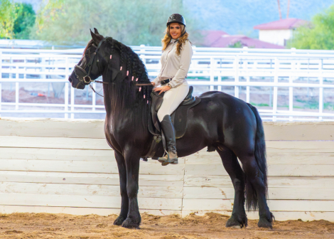 HorseID: 2307795 Lord - PhotoID: 1091813