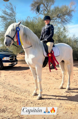 HorseID: 2307810 Zahonero Monterrey - PhotoID: 1091833