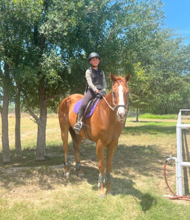 HorseID: 2307834 Atila - PhotoID: 1091862