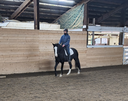 HorseID: 2307845 Felix - PhotoID: 1092654