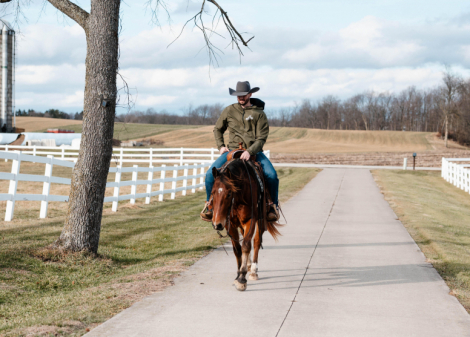 HorseID: 2307885 Watch Video! Roo - PhotoID: 1091906