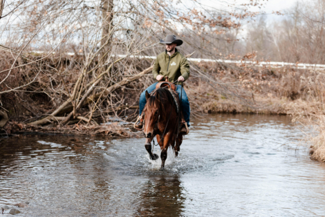 HorseID: 2307885 Watch Video! Roo - PhotoID: 1091907