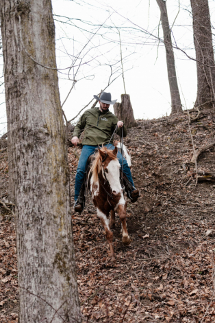 HorseID: 2307886 Watch Bridleless Video! - PhotoID: 1091912