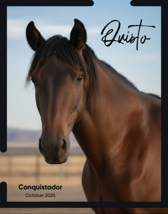 HorseID: 2307909 ANDALUSIAN HERD REDUCTION SALE_MOVING $6500-$17500 - PhotoID: 1091946