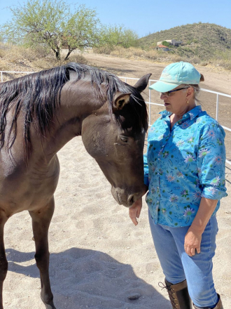 HorseID: 2307909 ANDALUSIAN HERD REDUCTION SALE_MOVING $6500-$17500 - PhotoID: 1091948