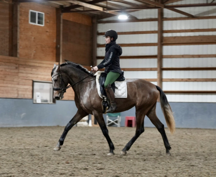 HorseID: 2307911 Luna - PhotoID: 1091952