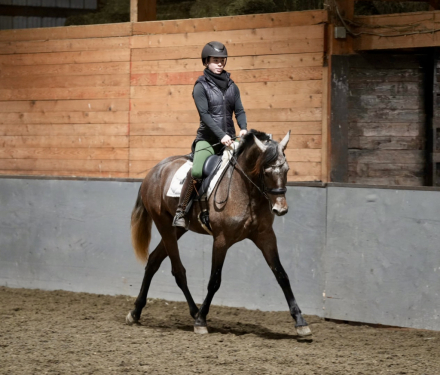 HorseID: 2307911 Luna - PhotoID: 1091953