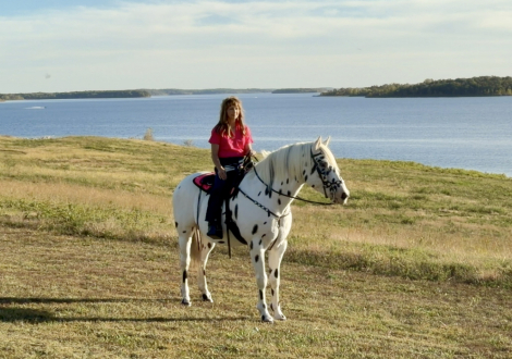 HorseID: 2307938 Dream Catcher - PhotoID: 1092171